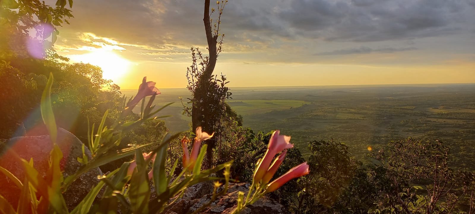 Flora saxícola y vista desde el Cerro Acahay. Foto: Rosa Melgarejo