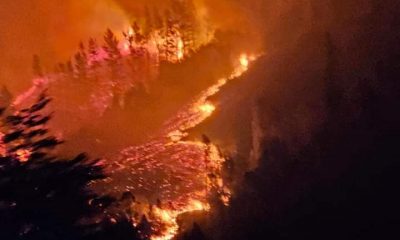 Incendio afecta a Chile y se ha cobrado vidas humanas. Foto: Twitter.