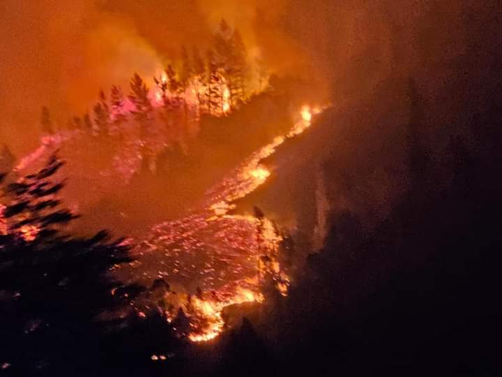 Incendio afecta a Chile y se ha cobrado vidas humanas. Foto: Twitter.