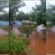 Varias viviendas quedaron inundadas en la zona. Captura de video