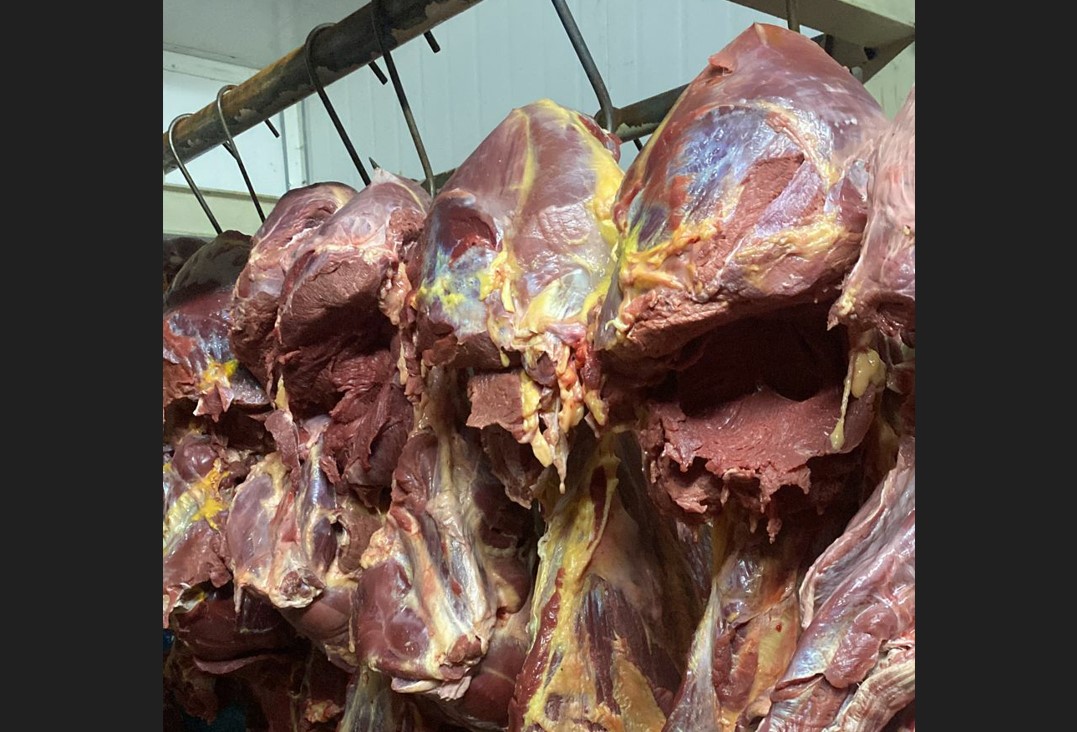 La Fiscalía intervino varias carnicerías por supuestamente comercializar carne de caballo. Foto: Fiscalía