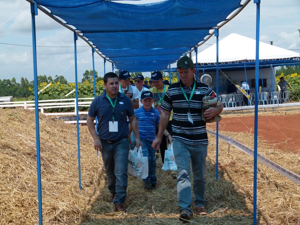 Otra edición de Expo Sygenta en Alto Paraná. Foto: Gentileza