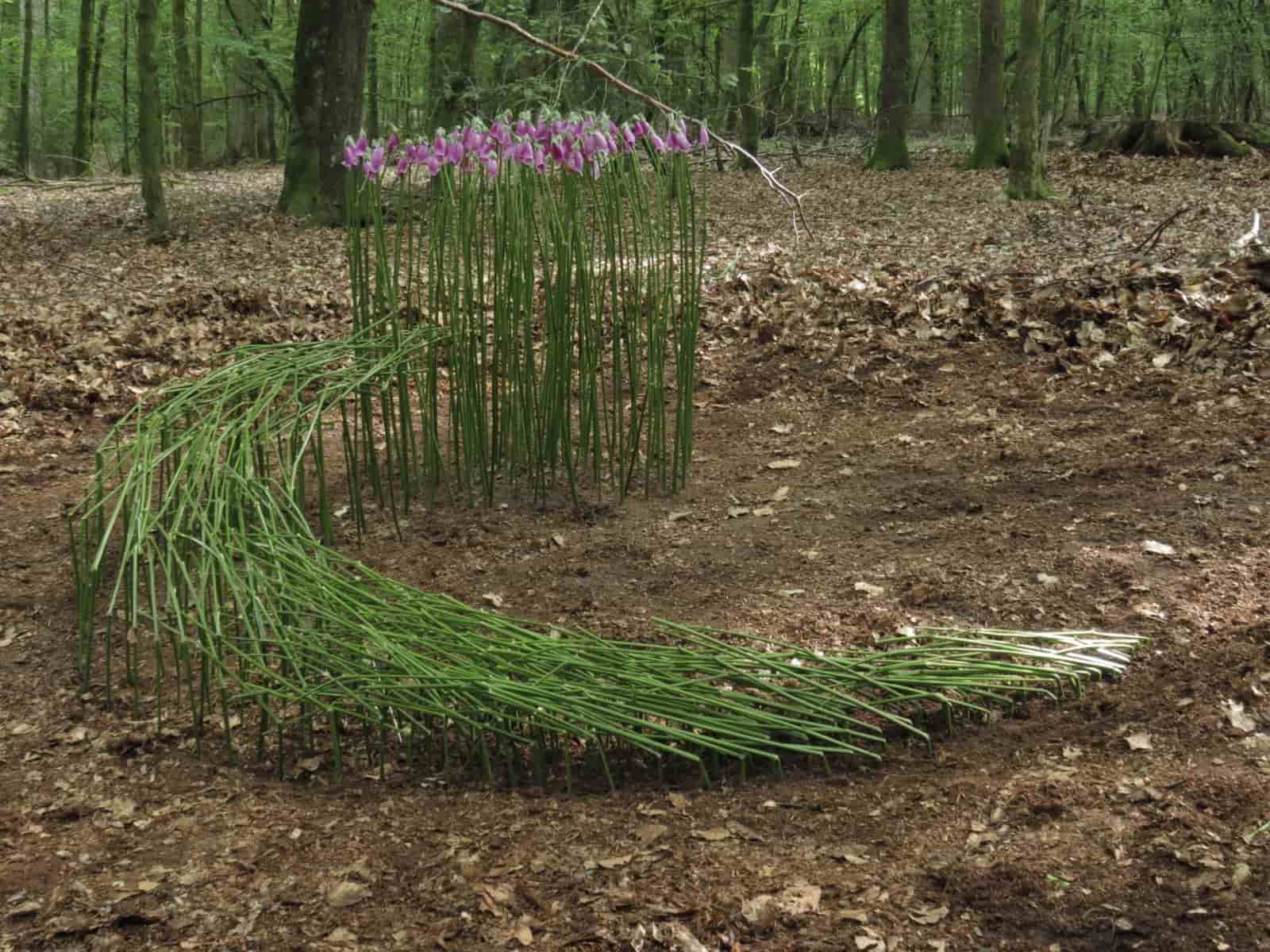 Land Art (imagen ilustrativa)