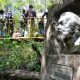 Parque Nacional Cerro Corá. Gentileza