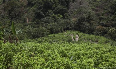 Oleoducto Caño Limón-Coveñas, Colombia. Foto: DW