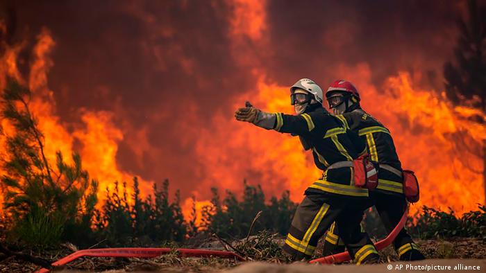 Incendios forestales. Foto: DW