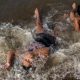 Niños bañándose en el Río de la Plata para combatir las altas temperaturas. Foto: DW