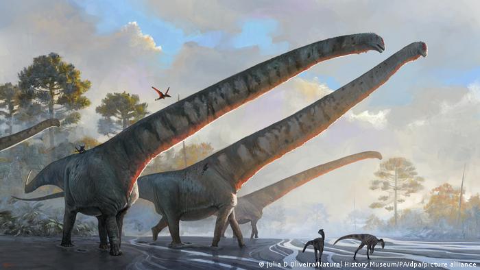 Hallan en China fósiles de dinosaurio que tenía cuello de 15 metros, el más  largo jamás descubierto – El Nacional