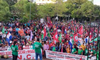 Campesinado organizado realiza su marcha anual por reivindicaciones históricas. Gentileza