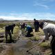 Trabajo colaborativo (Ayni) de la Comuna de Colchane, en Turuna (región de Tarapacá, Chile). Autor: Diego Aranibar Esteban / Iniciativa Más Agua