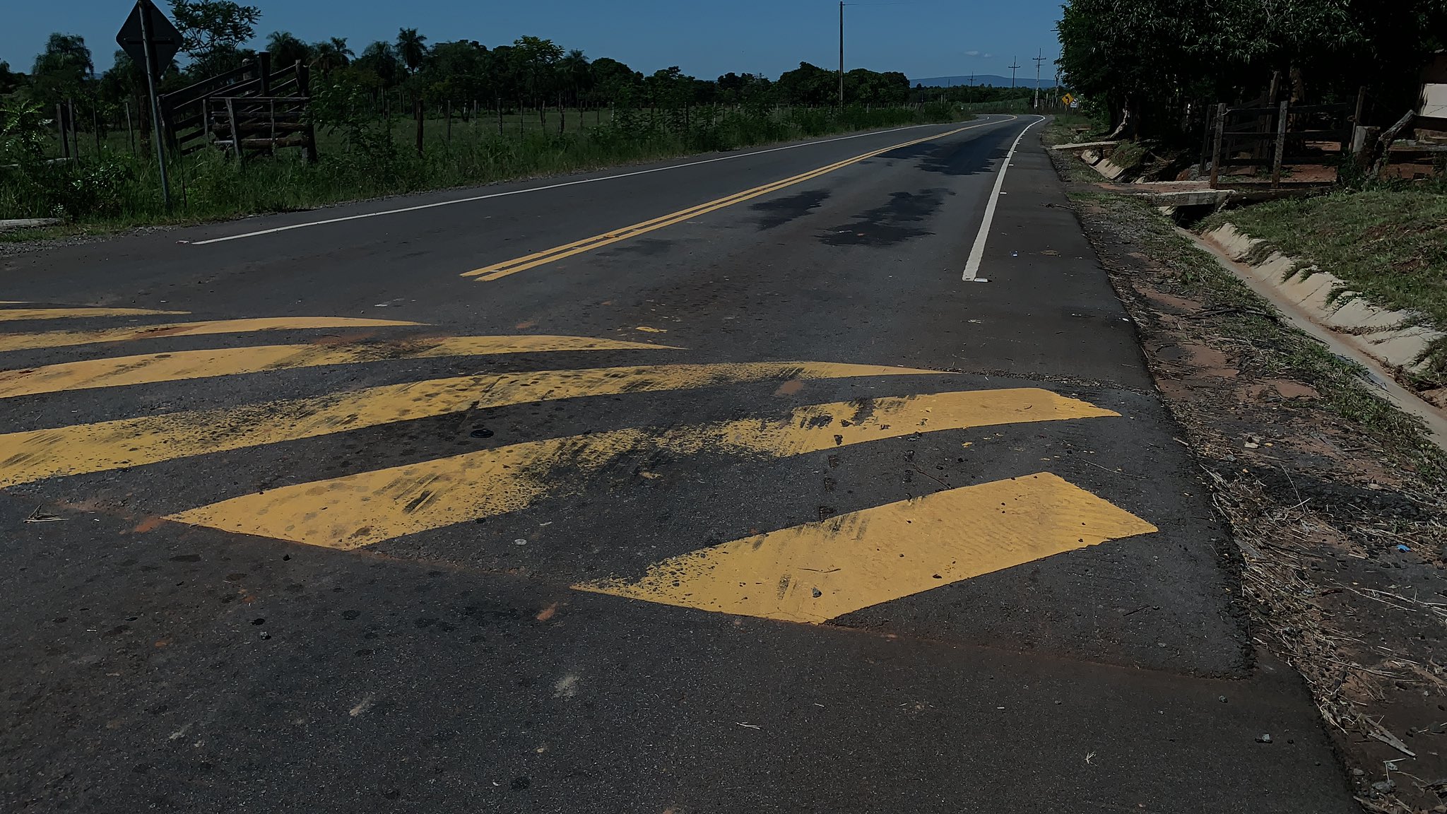 Lomadas sobre rutas nacionales. Foto: @jcsisul