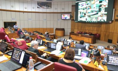 Sesión de la Cámara de Senadores. Foto: Gentileza