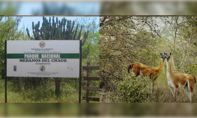 Parque Nacional Médanos del Chaco. (Gentileza)