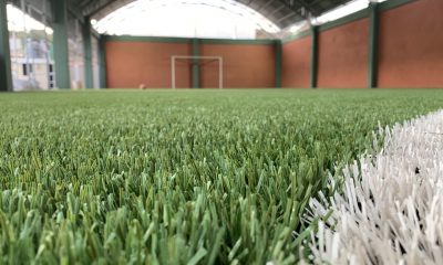 El hallazgo se produjo en una cancha sintética. Imagen de referencia.