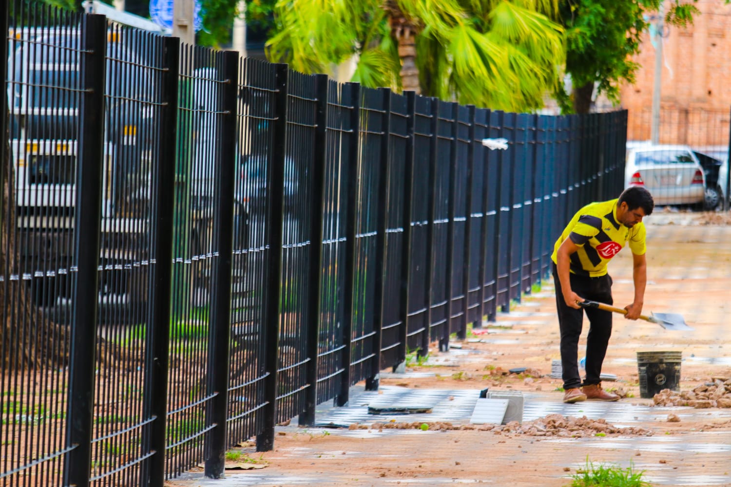 Un trabajador realizando las labores en la plaza Juan de Salazar, frente al Cabildo. Foto: Jorge Lombardo.