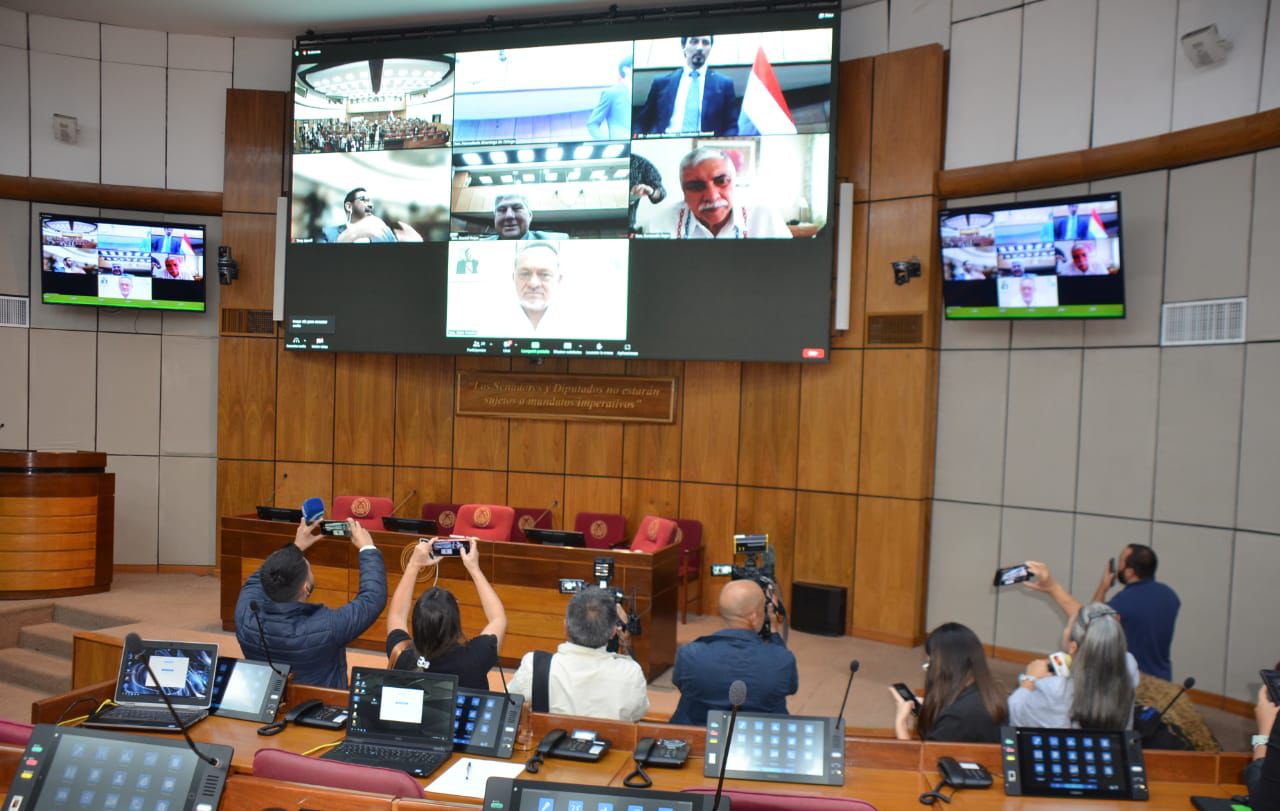 Sesión de la Cámara de Senadores. Foto: Gentileza.