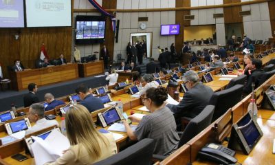 Sesión de la Cámara de Diputados. Foto: Gentileza
