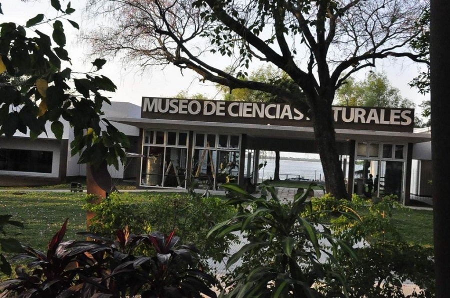 Museo de Ciencias Naturales de Corrientes. Cortesía