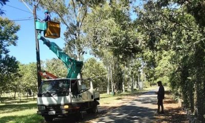 Trabajos de reposición de iluminación en el Ñu Guasú. Foto: MOPC