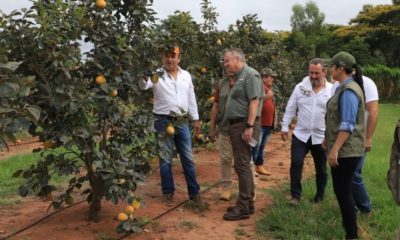 El titular del MAG, Santiago Bertoni visitó las instalaciones de la empresa Frutas del Paraguay S.A. Foto: MAG