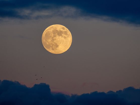 Luna llena. Foto: El Confidencial.