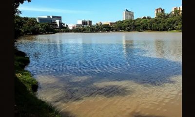 El yacaré escapó del lago de la República. (Silverio Morel)