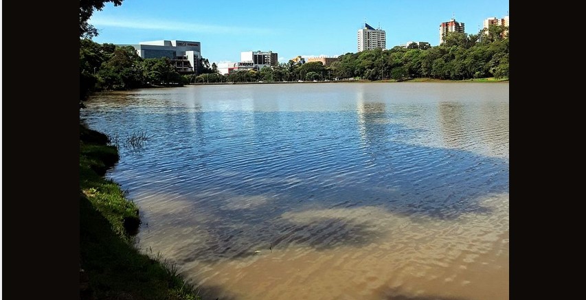 El yacaré escapó del lago de la República. (Silverio Morel)