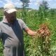 La empresa emplea directamente a 100 funcionarios en su planta procesadora de Eusebio Ayala, departamento de Cordillera.. Foto: Gentileza