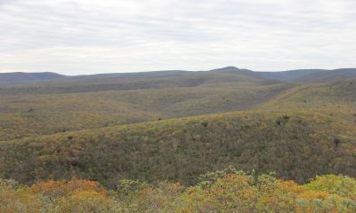 Cerro León. Foto: Lidia Pérez de Molas.