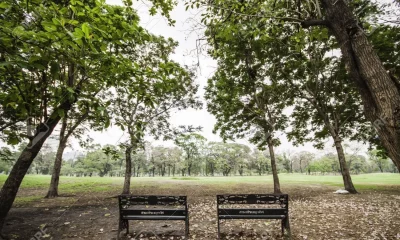 Ambiente fresco. Foto:123RF