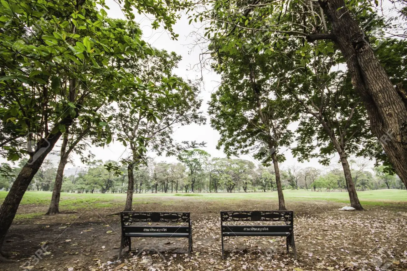 Ambiente fresco. Foto:123RF