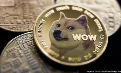 Una imagen de la criptomoneda dogecoin, el mismo perro que ahora aparece en Twitter. Foto: DW.