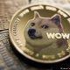 Una imagen de la criptomoneda dogecoin, el mismo perro que ahora aparece en Twitter. Foto: DW.