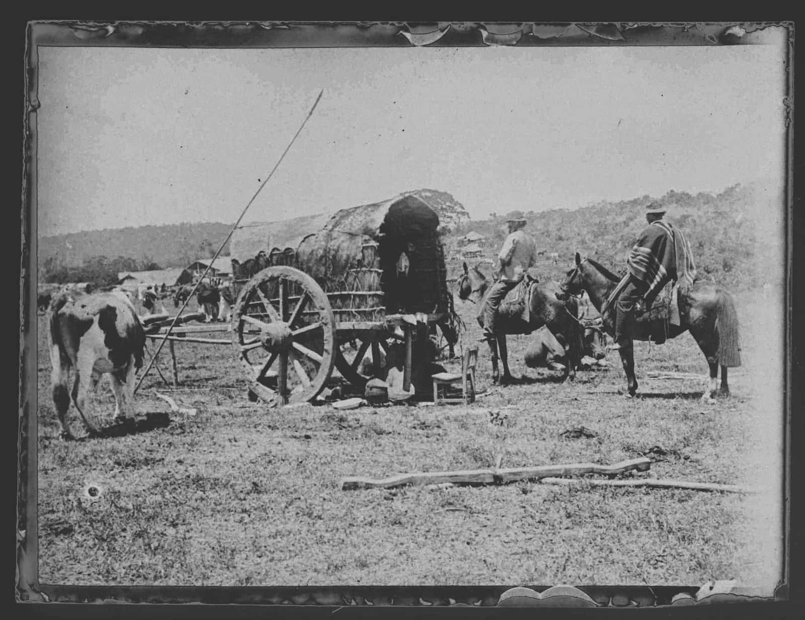 AUguste François. Campo paraguayo, 1894. Placa de vidrio registrada por Annick Bienvenu