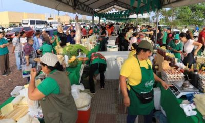 Feria en la Costanera de Asunción. Foto: Gentileza.