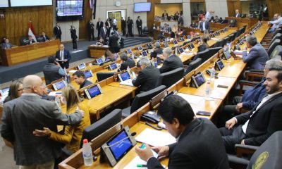 Sesión de Diputados. Foto: Gentileza