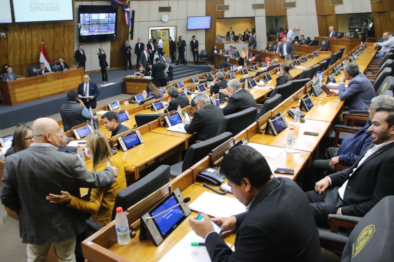 Sesión de Diputados. Foto: Gentileza