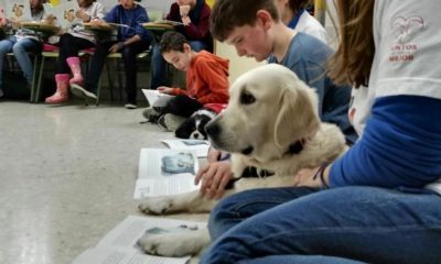 Animales y educación primaria. Foto referencial - Europa Press