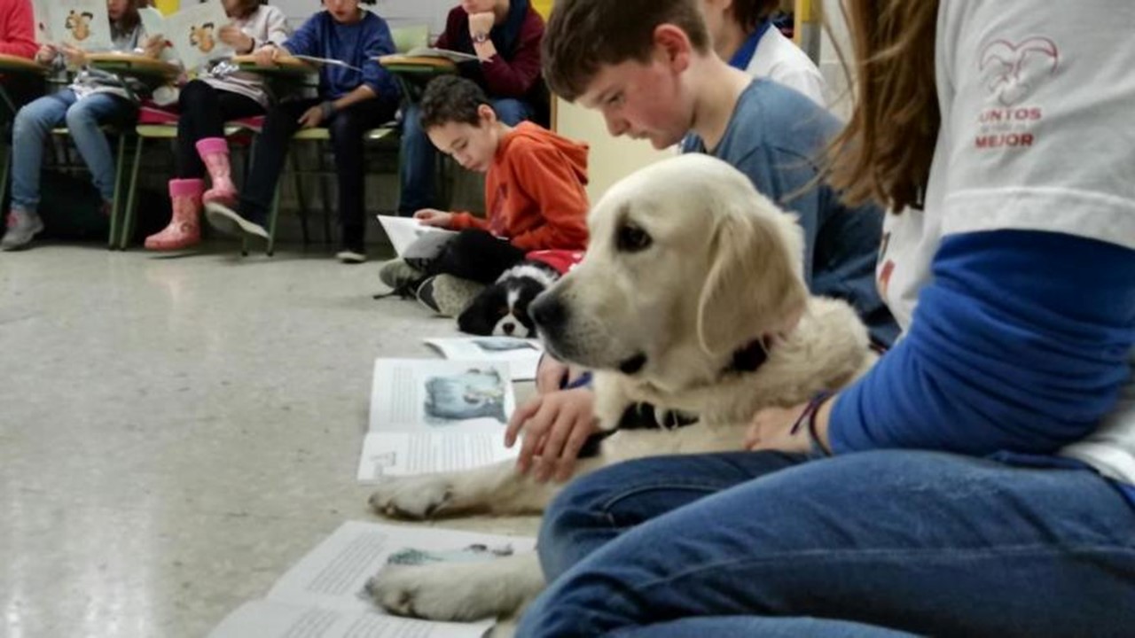 Animales y educación primaria. Foto referencial - Europa Press