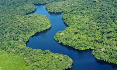 Selva amazónica. Foto: El Observador de Uruguay