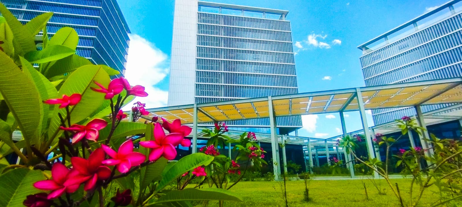 Oficinas del Gobierno. Gentileza