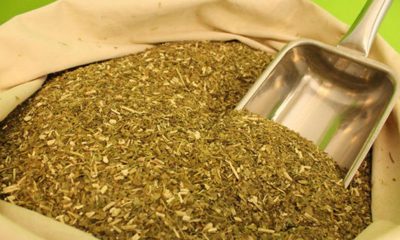 Yerba mate. Foto: Gentileza