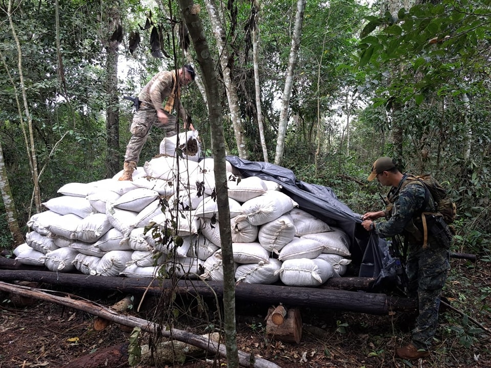 Comitiva fiscal detectó campamentos y destruyó más de 21 toneladas de marihuana. Foto: Ministerio Público.