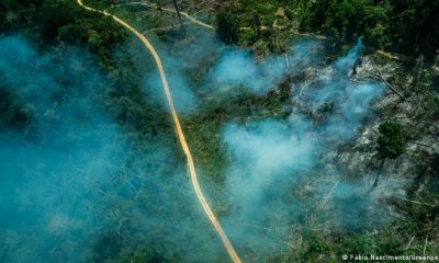 Toma aérea de la Amazonía. Foto: DW.