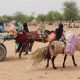 Refugiados sudaníes cruzan la frontera hacia Chad. Foto: DW