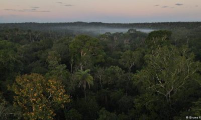 La demarcación de tierras indígenas, según expertos, es una barrera fundamental al avance de la deforestación en la Amazonía. Foto: DW.