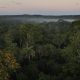 La demarcación de tierras indígenas, según expertos, es una barrera fundamental al avance de la deforestación en la Amazonía. Foto: DW.