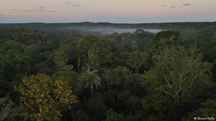 La demarcación de tierras indígenas, según expertos, es una barrera fundamental al avance de la deforestación en la Amazonía. Foto: DW.