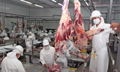 Trabajadores de frigorífico. Foto referencial.