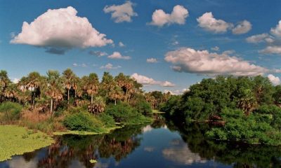 Pantanal paraguayo. Gentileza